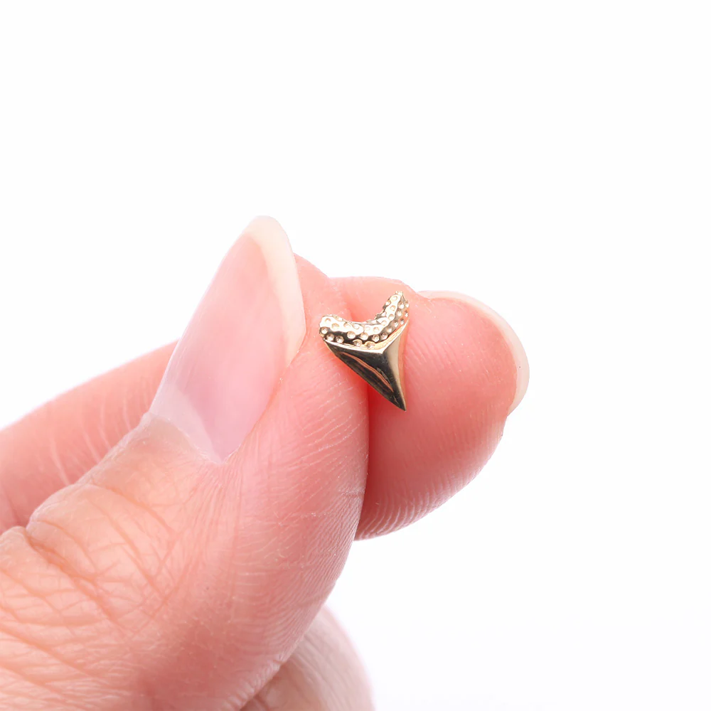 14 Karat Gold OneFit Threadless Megalodon Shark Tooth Top Part - Image 3