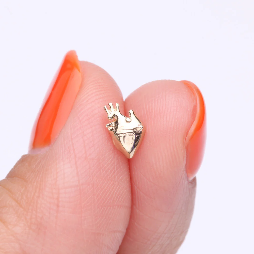 14 Karat Gold OneFit Threadless Anatomical Human Heart Top Part - Image 3