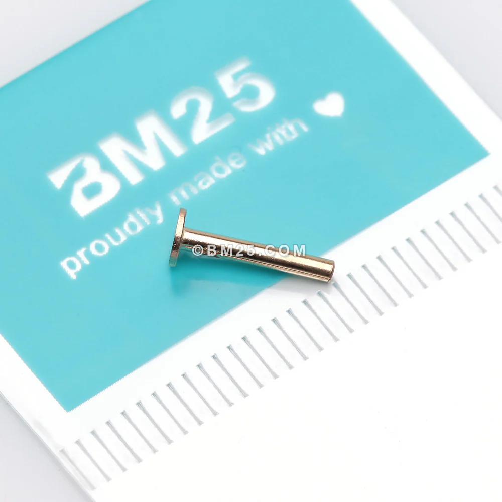 14 Karat Gold OneFit Threadless Flat Back Stud Labret Bar Part - Image 3