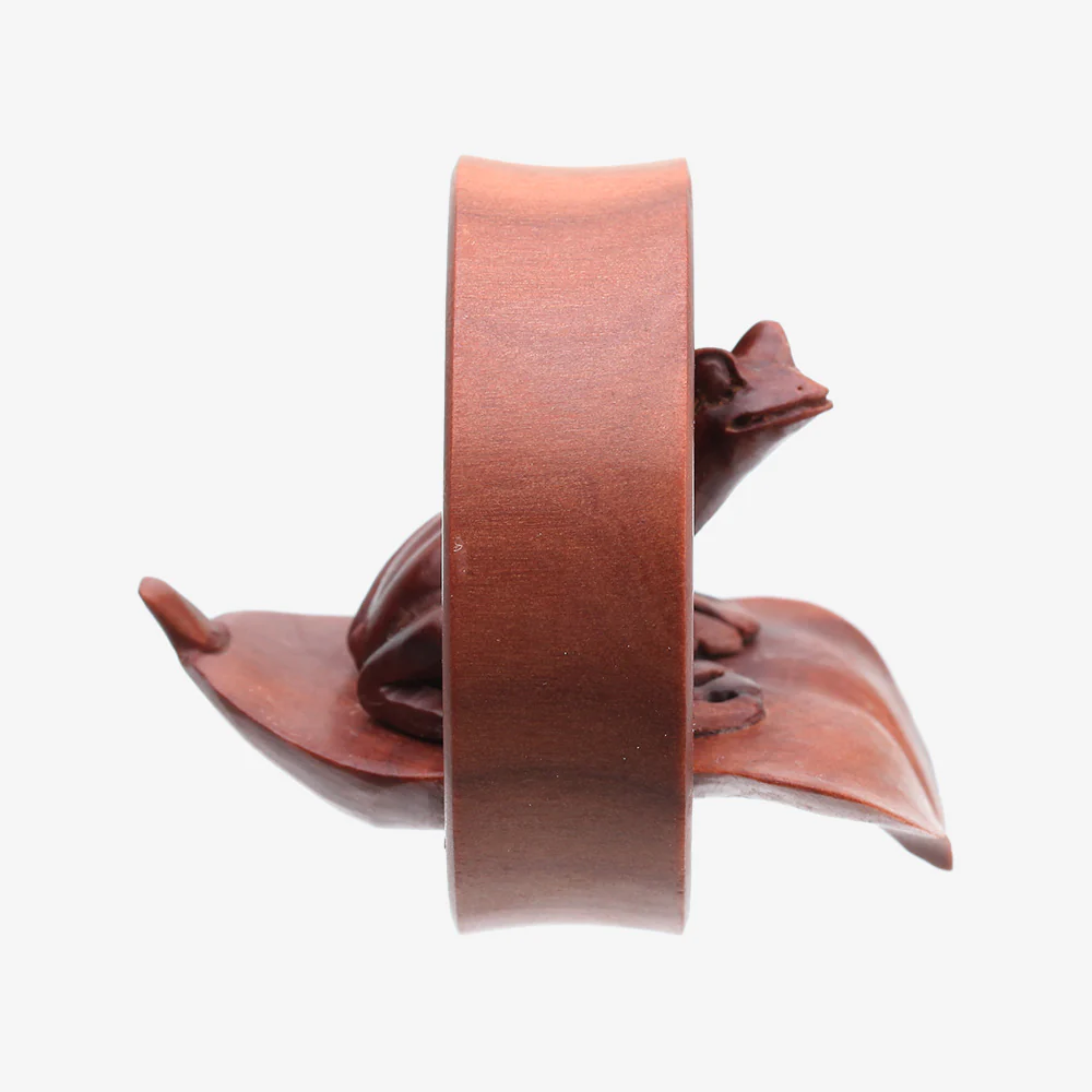 A Pair of Amazon Tree Frog Organic Sabo Wood Ear Gauge Plug - Image 4