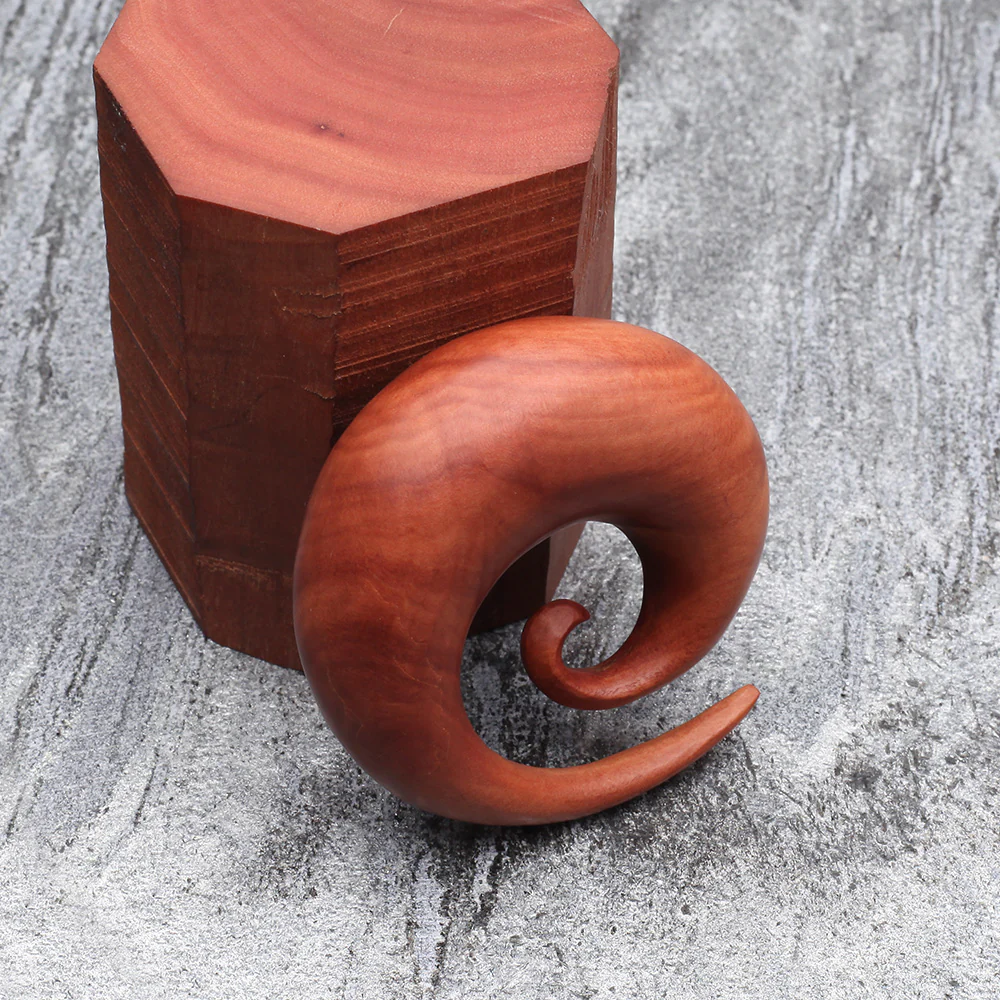 A Pair of Sabo Wood Spiral Hanger Plug - Image 4