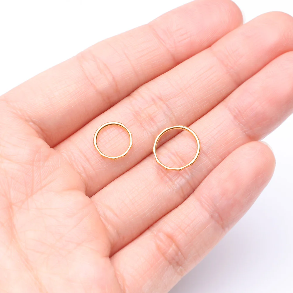 Pure24K Implant Grade Titanium Bamboo Essence Seamless Clicker Hoop Ring - Image 4