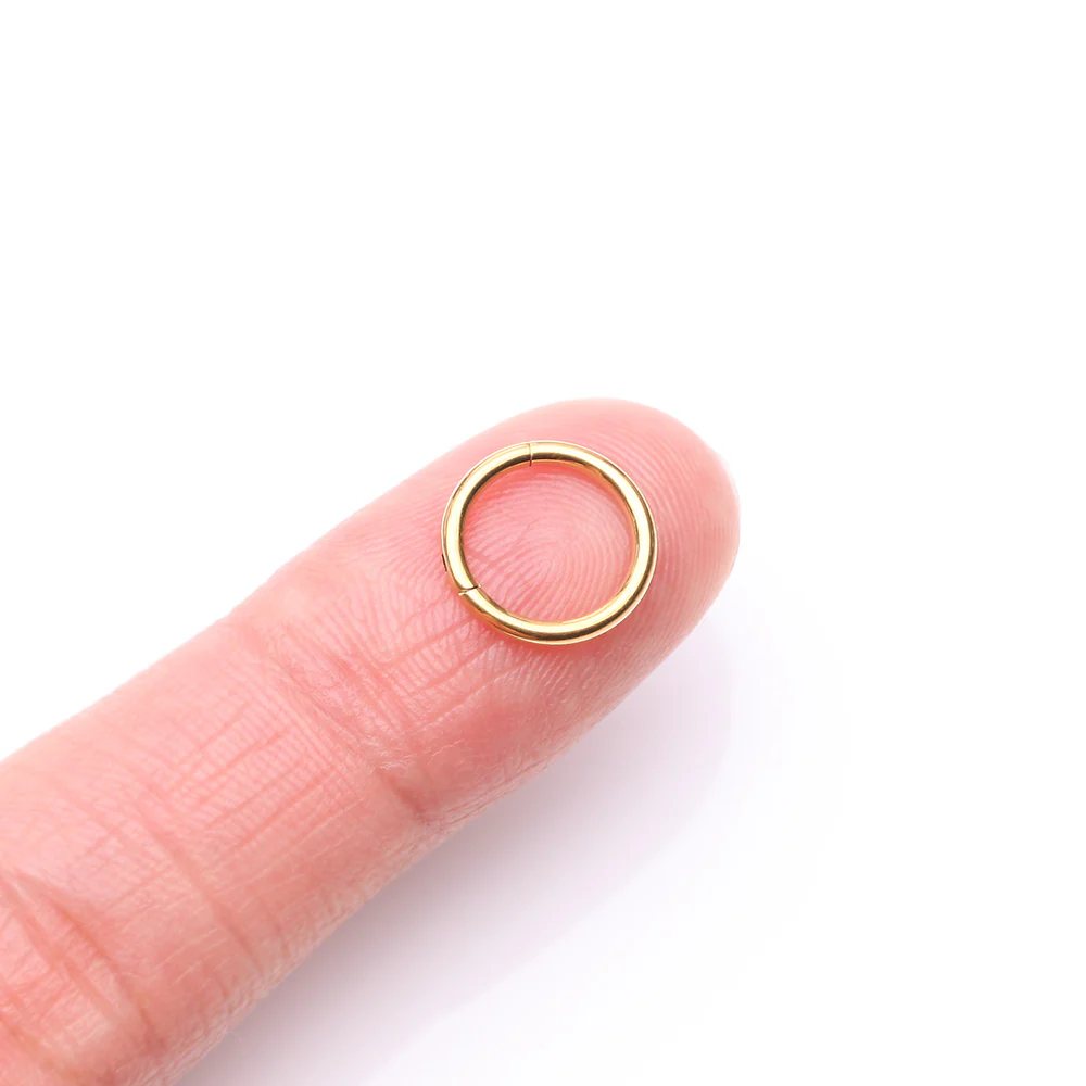 Pure24K Implant Grade Titanium Basic Seamless Hinged Clicker Hoop Ring - Image 3