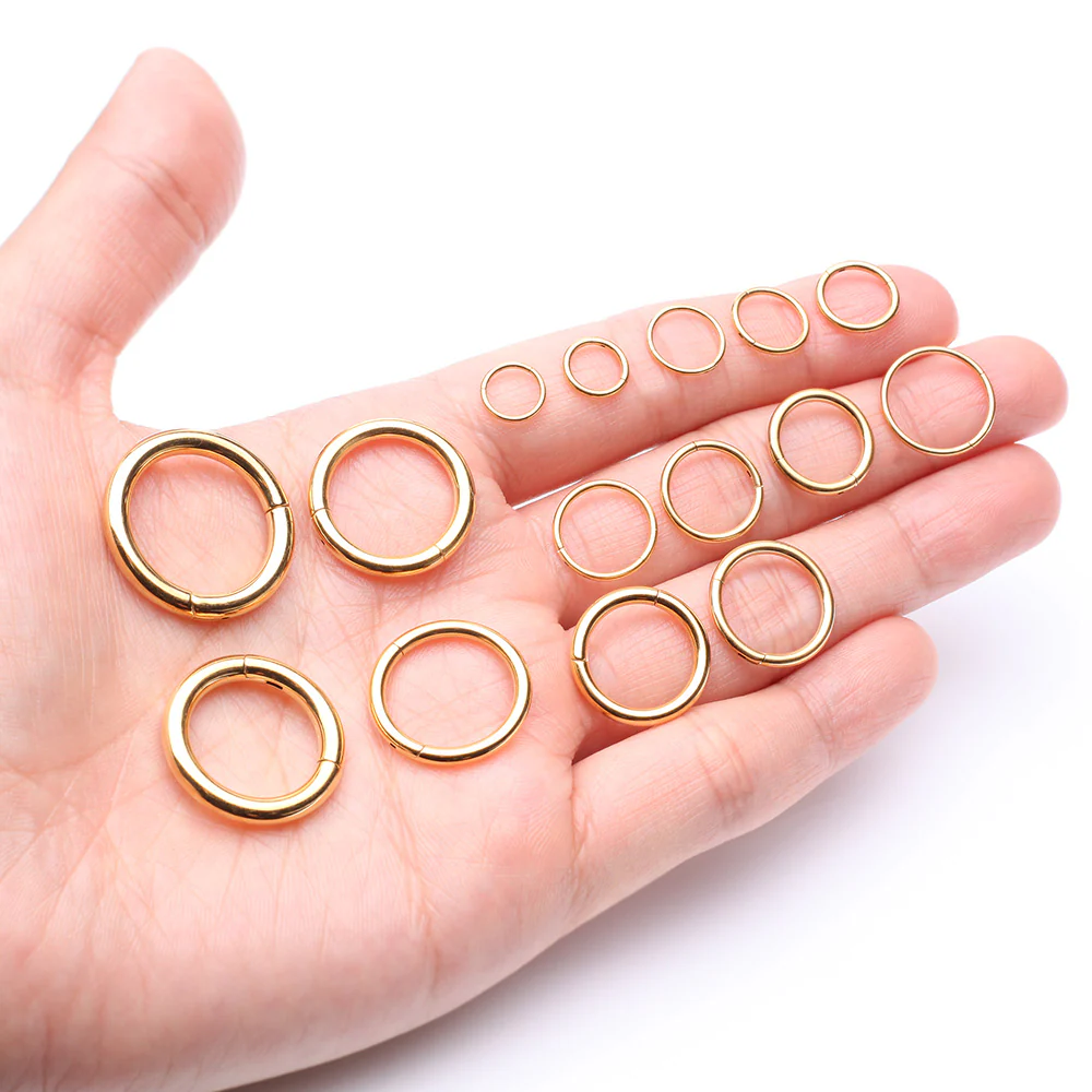 Pure24K Implant Grade Titanium Basic Seamless Hinged Clicker Hoop Ring - Image 4