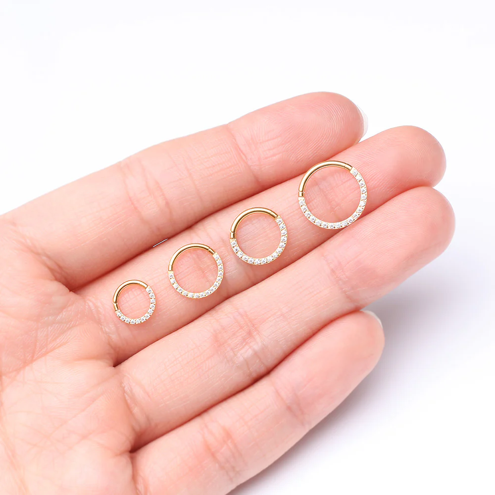 Pure24K Implant Grade Titanium Brilliant Sparkle Front Facing Gems Lined Seamless Clicker Hoop Ring - Image 4