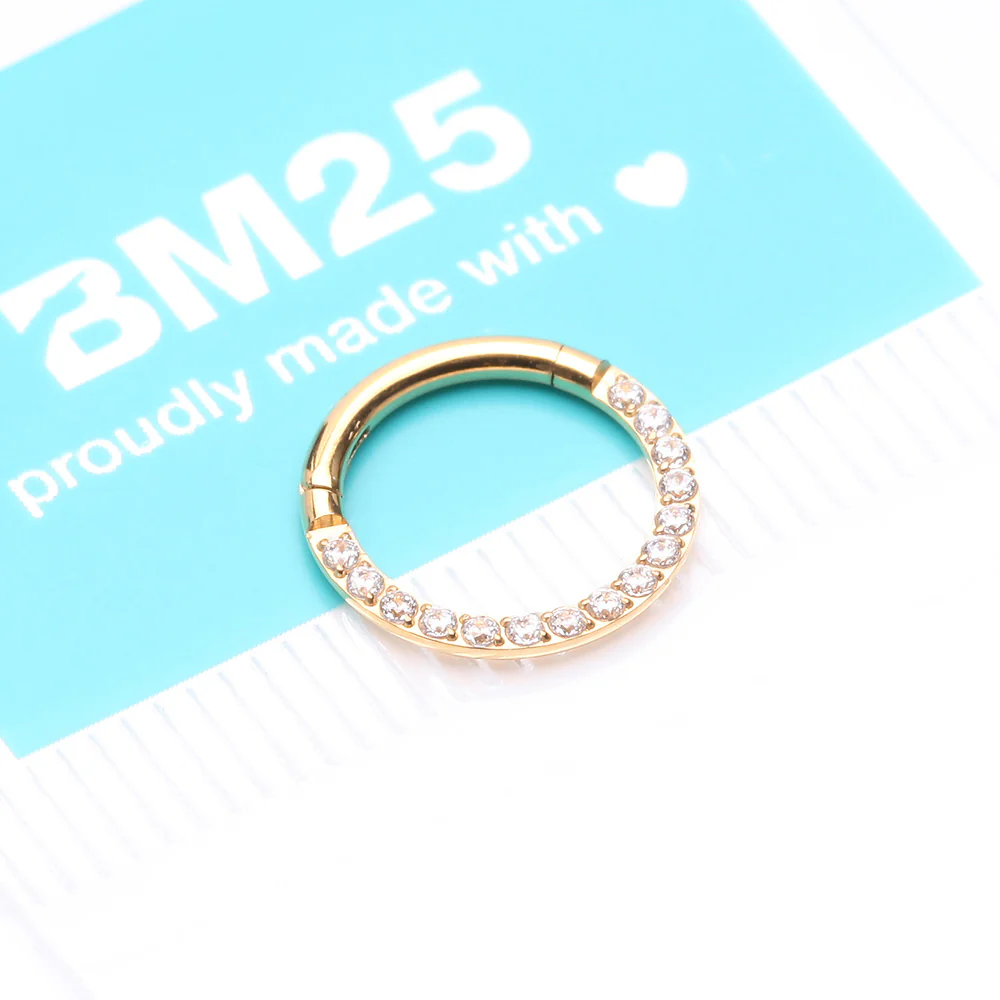 Pure24K Implant Grade Titanium Brilliant Sparkle Front Facing Gems Lined Seamless Clicker Hoop Ring - Image 5